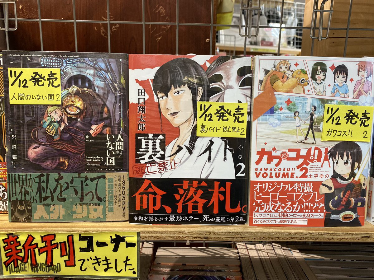 ヴィレッジヴァンガード 川越ルミネ店 11月12日発売のコミック新刊 生理ちゃん 4日目 私のジャンルに神がいます 人間のいない国 裏バイト 逃亡禁止 ガワコス 鍵つきテラリウム 夏の魔物 新刊コーナーにて販売中
