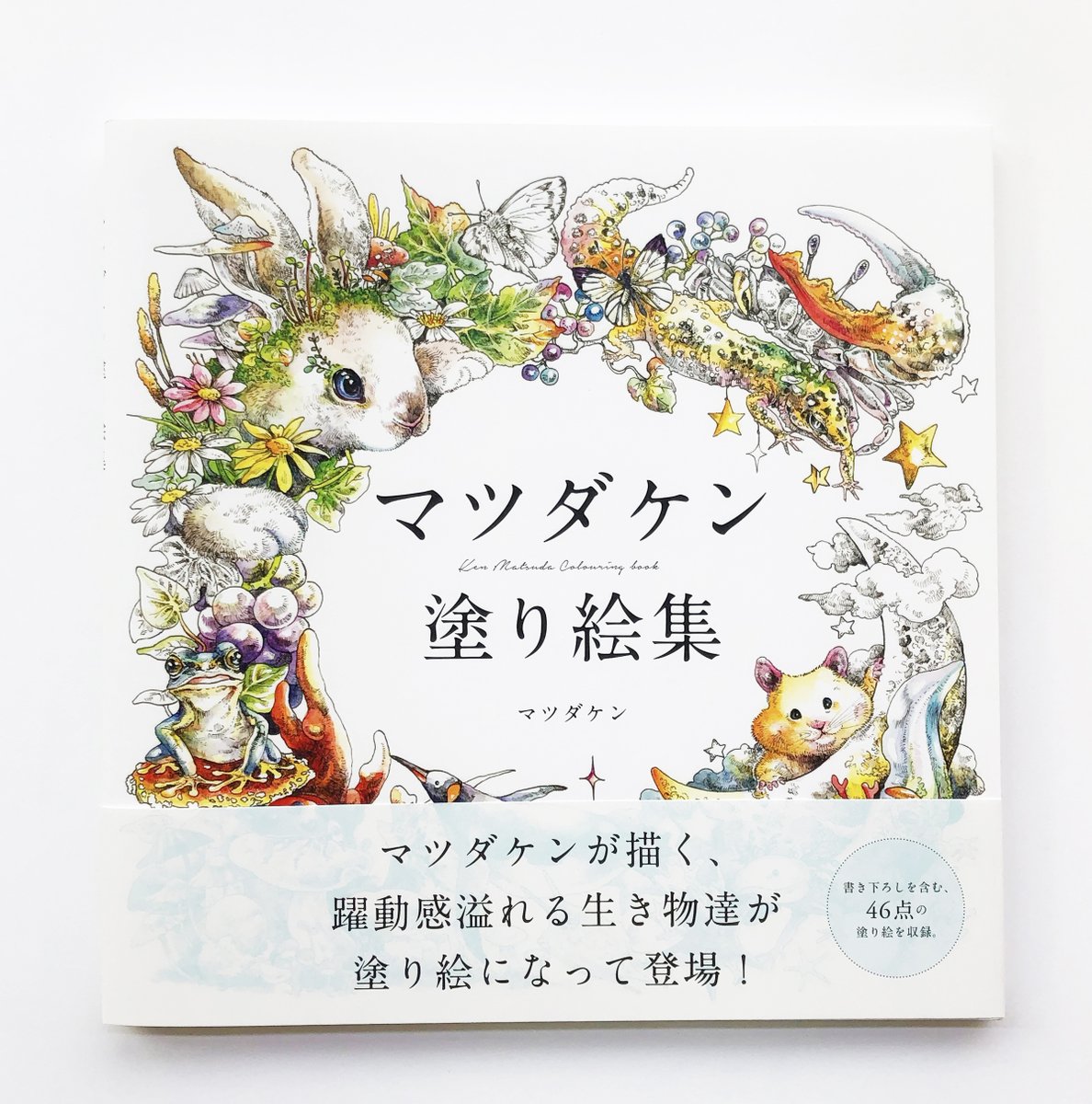 グラフィック社 編集部 国際部 En Twitter 11月新刊 好評発売中 マツダケン塗り絵集 動物と植物の共生を鮮やかな色彩で描く 話題のイラストレーター マツダケンさん初の塗り絵集 描き下ろし含む約46点を収録 色の塗り方 水彩絵の具 色鉛筆 解説も