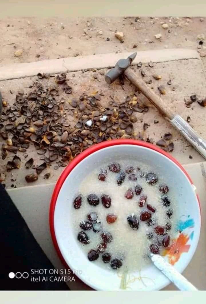 Since today is Thursday, let's do a throwback of native delicacies and how we ate them then.Thread...