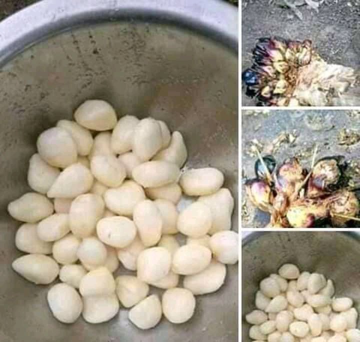 Since today is Thursday, let's do a throwback of native delicacies and how we ate them then.Thread...