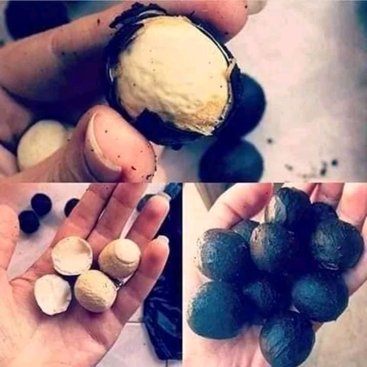 Since today is Thursday, let's do a throwback of native delicacies and how we ate them then.Thread...