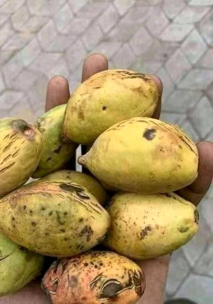 Since today is Thursday, let's do a throwback of native delicacies and how we ate them then.Thread...