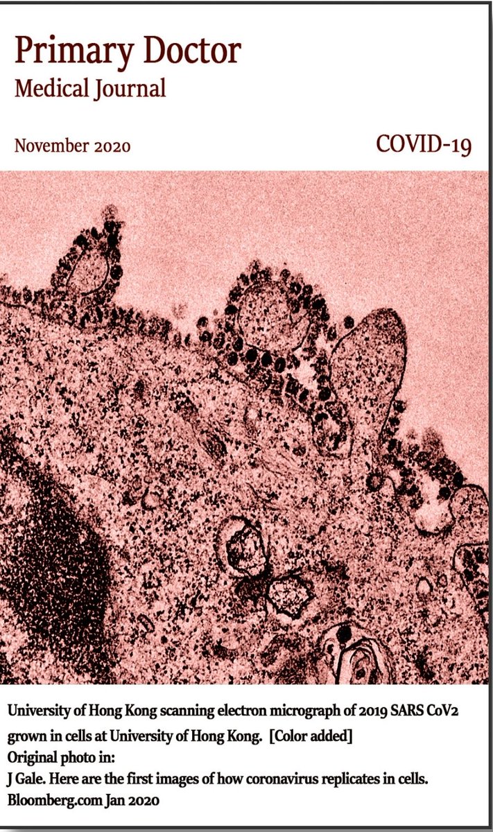 "Masks, false safetyand real dangersPart 1:Friable mask particulateand lung vulnerabilityPart 2:Microbial challengesfrom masksPart 3:Hypoxia, hypercapniaand physiological effects" https://pdmj.org&nbsp;