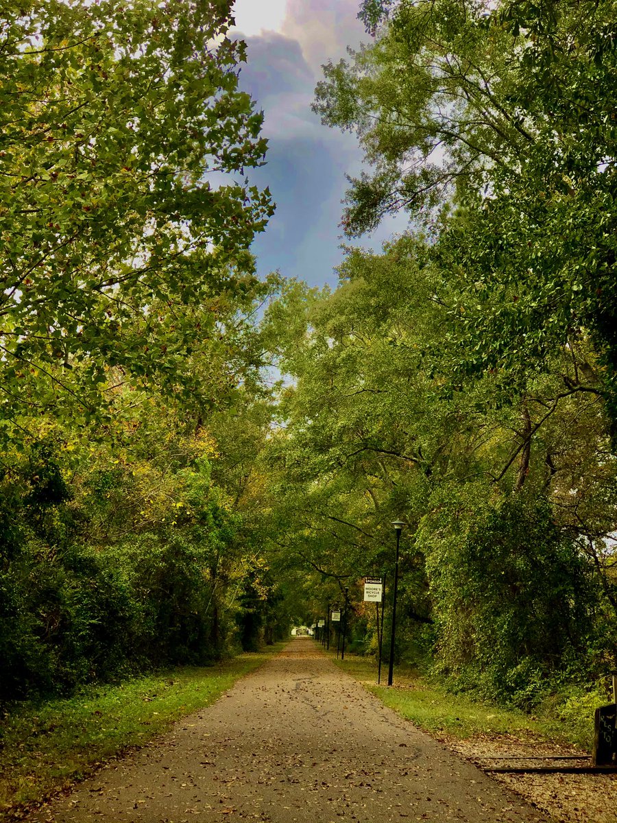 RAUL_ASAP's tweet photo. Visualizing &amp; realizing my life is Fucking crazy 😅🍂🍃 went on a jog in Mississippi ✔️ https://t.co/LBQiMN1USt