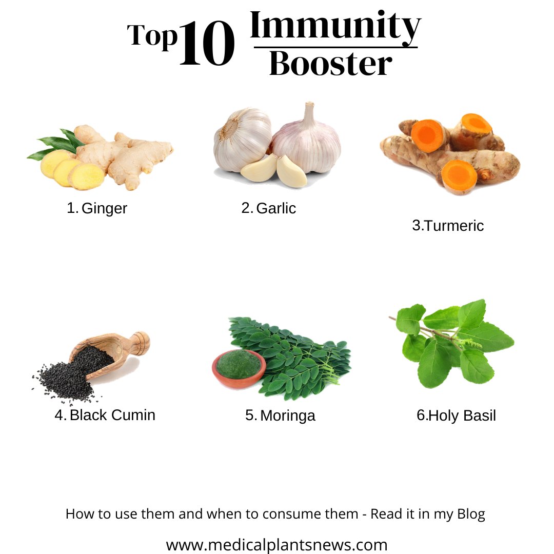 These 10 food ingredients will boost your immunity system 
 #immunity #immunityboost #immunitybooster #immunitysupport #ImmunityHealth #immunityidol #immunitypin #immunitysmoothie #ImmunitySystem #immunitycat #Immunityfirst #ImmunityGaming #immunitygummies #Immunityshot