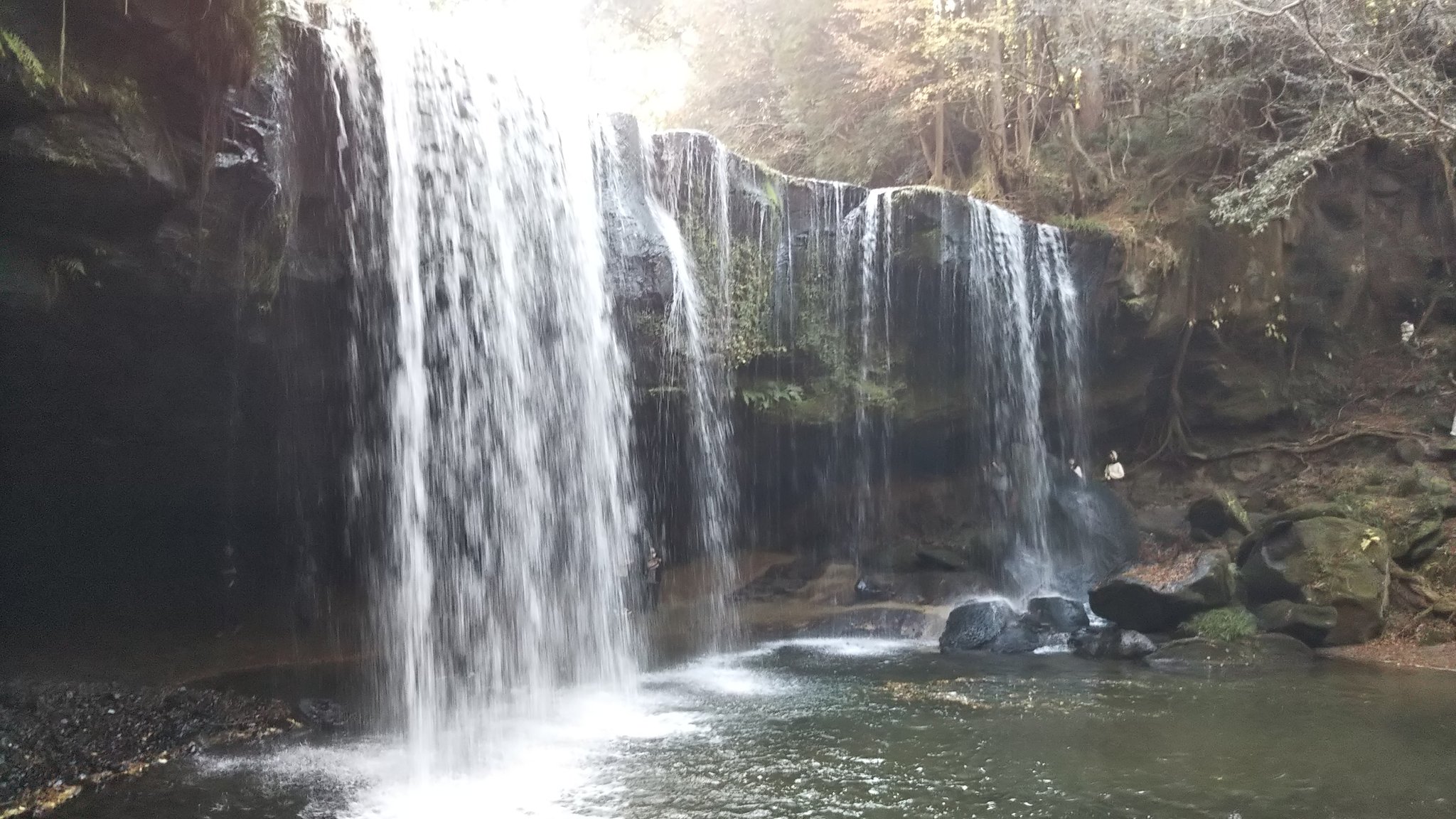 おとめ座naotokan 旅 旅 熊本 鍋ヶ滝 県境またいでまた熊本だった 滝裏に回れるのが売り お茶のcmに使われたとか T Co E28vkz6qsb Twitter