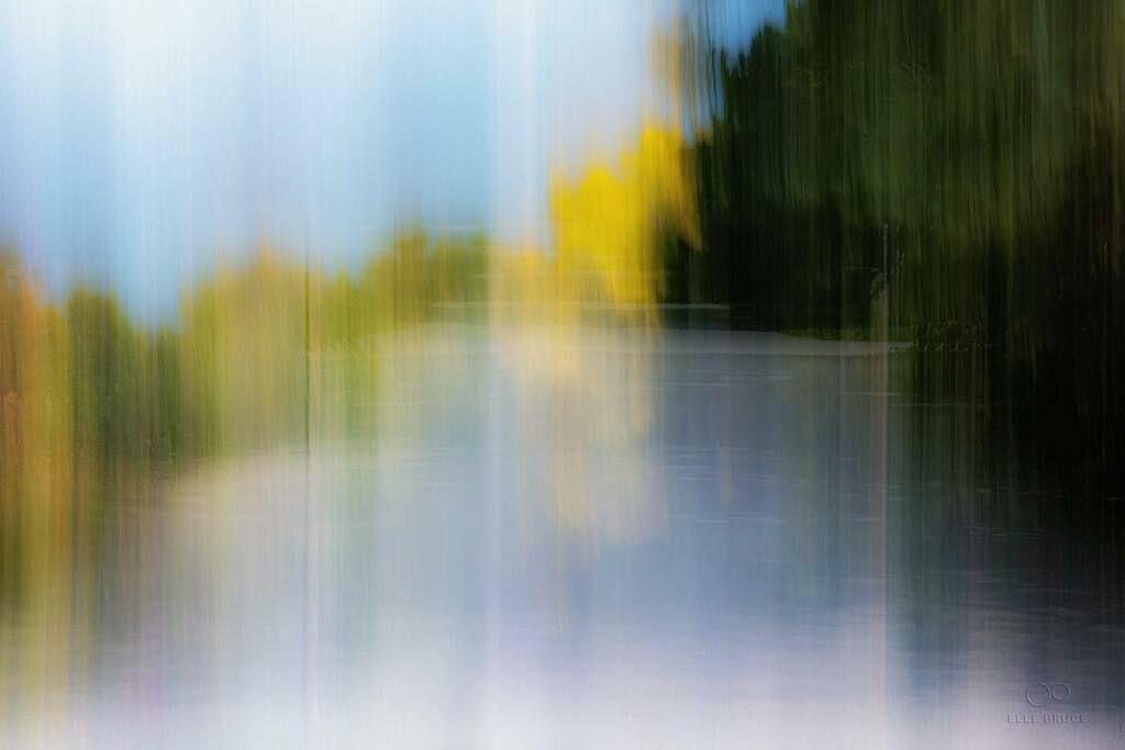 ElleBrucePhoto's tweet photo. FOUND BEAUTY...
on a hike in a nearby conservative area. 
Sometimes when I paint with light things that are unseen appear in the final image. 
In this case it was a geometric shape which reminded me of the Japanese gates known as torii. “A traditional Ja… https://t.co/HWpXRRP8qv https://t.co/9jXBR9KYvu