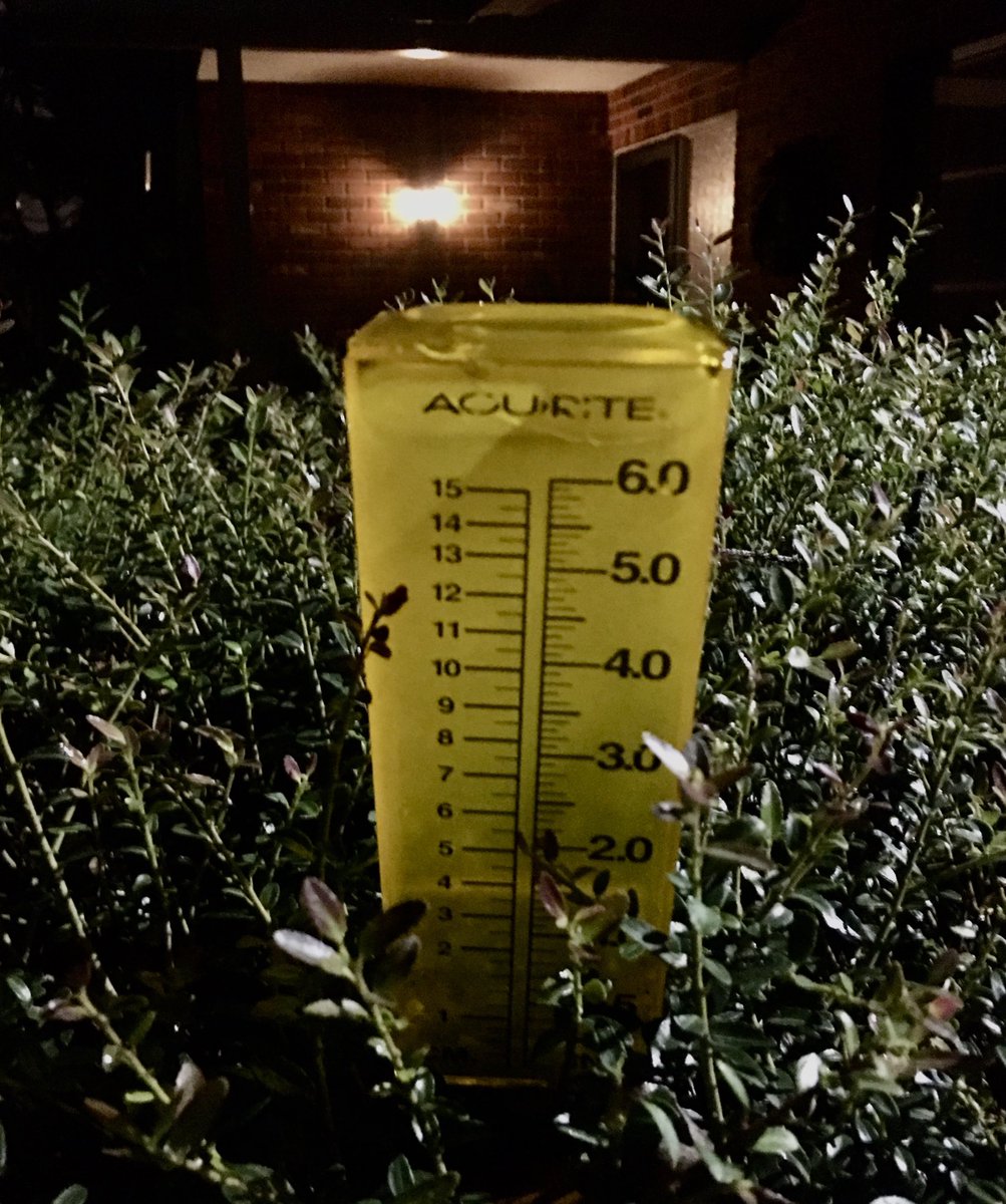 About 6 and a half inches in the rain gauge so far from TS Eta.