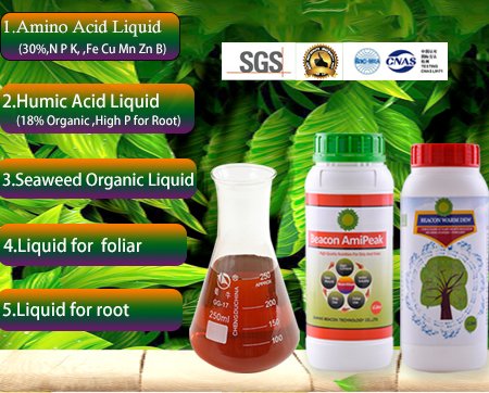 amino acid liquid fertilizer
humic acid liquid 
seaweed organic liquid
NPK liquid 
e-mail:nicole8@humicliquidfertilizer.com
Web:aminoacidsagrochem.com

         humicliquidfertilizer.com 

## liquid fertilizer #small package liquid