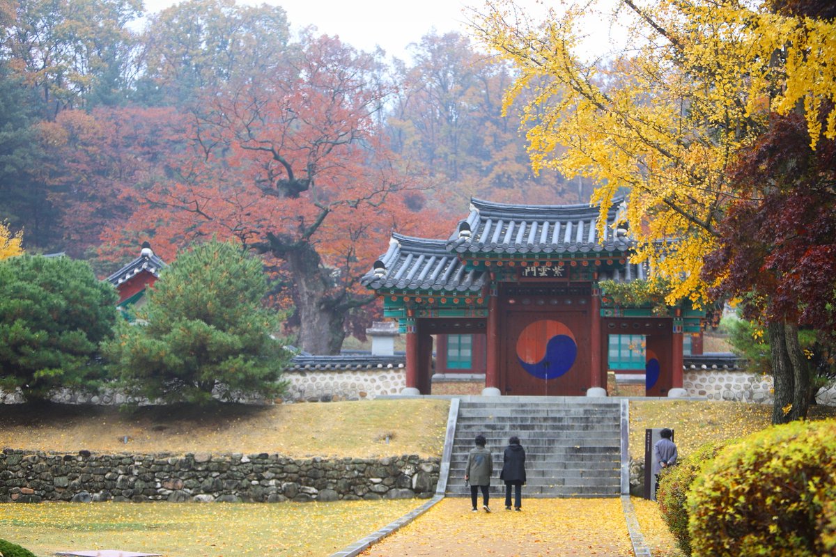 picasso_park's tweet photo. 파주집과 가까운곳에 이쁜곳이 많다. 11월 막바지 가을색 담기...^^
#파주 #가을 #자운서원 #율곡선생유적지 #단풍 #형형색색 #울긋불긋 #tre #autumn #갤럭시노트9 #아름답다 #가을풍경 https://t.co/ok0577dlcn