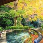 大人旅JAPAN~厳選の宿~のツイート画像