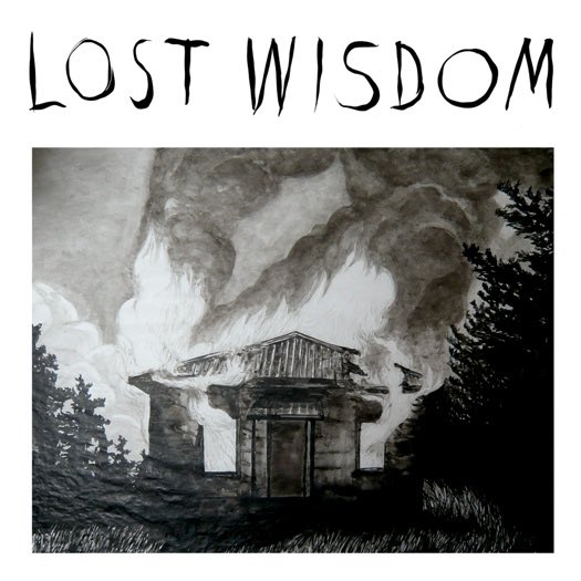 2008AOTY: Grouper - Dragging a Dead Deer Up a Hill#2: Mount Eerie with Julie Doiron & Fred Squire - Lost Wisdom#3: Crystal Castles - Crystal Castles#4: Agalloch - The White EPTotal: 33