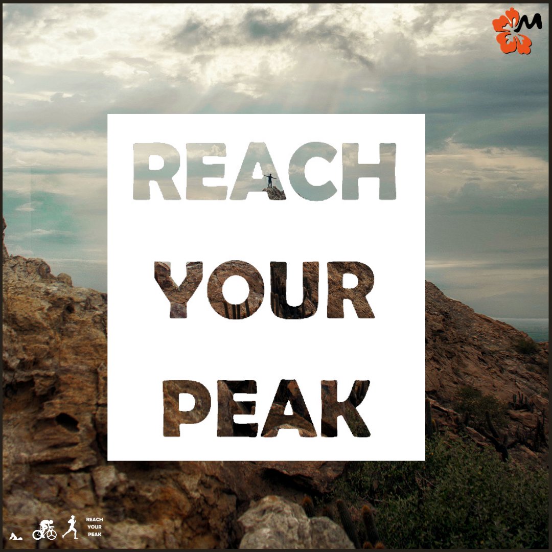 Mahalo Endurance Sports Nutrition tweet media
