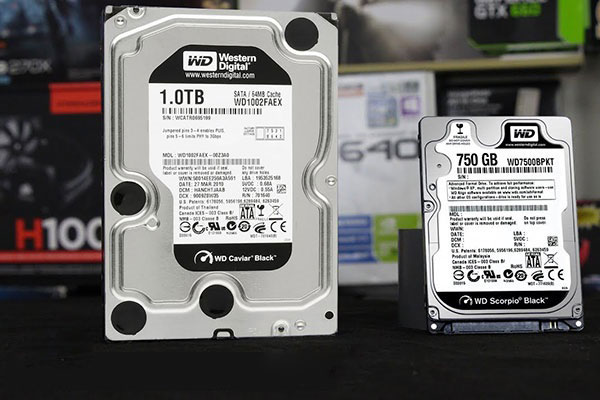 HDD adalah storage yang paling asas, dan murah. Kekurangannya boleh luput rosak (kalau pakai lama sangat), dan senang rosak kalau PC terhentak kuat. Brand yang ada biasanya WD, Seagate, Toshiba. Ada 2 saiz, 3.5" dan 2.5" sahaja. Ada juga version biasa, dan laju serta tahan lasak.