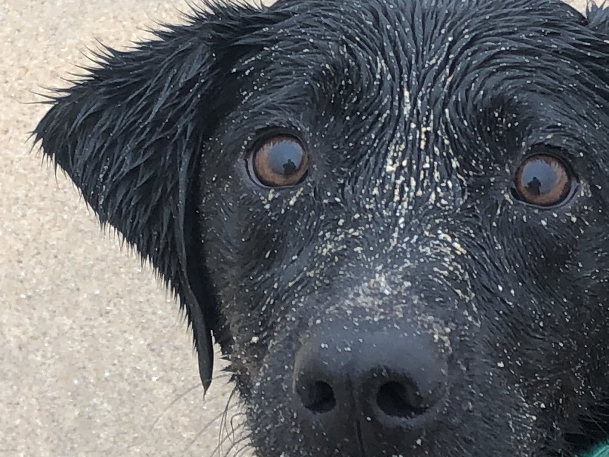 Day 3/7 I’ve been nominated by 
<a href="/EventyMarketing/">Eventy Marketing</a>
 to produce a pic a day for 7 days to illustrate my daily life (no people). You have to copy the post and repeat the challenge. Today I nominate <a href="/aapennington/">amanda pennington</a>