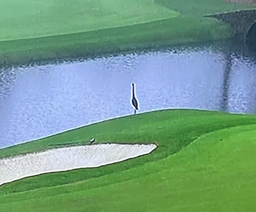 RiggsBarstool's tweet photo. Been waiting 500 days for this so if you think I’m not watching this fucking bird’s every move on Amen Corner you’re crazy https://t.co/kZ2GsjSOA3