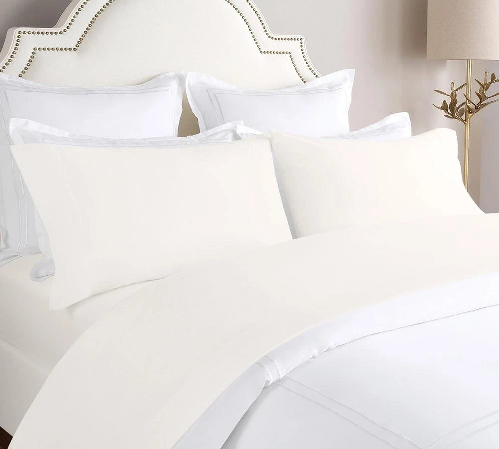 BriarwoodHome's tweet photo. Solid Flannel Sheet Set in Ivory Color
Limited Stock in Cal. King and King
– Highly-Durable
– Winter Bed Sheet
– Supreme Quality Bedding
Shop > https://t.co/K7QAZbfwJq
#SolidKing #FlannelSheetSet #Color
#WinterBedSheet #DeepPockets #SupremeQuality #Bedding #kingsizebedsheets https://t.co/FCtHXi7jNE