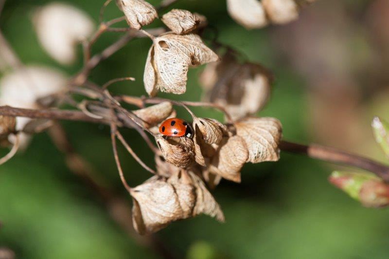 Wilde Weelde tweet media