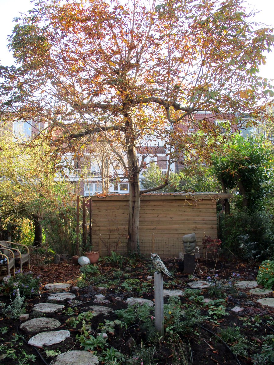 Wilde Weelde tweet media