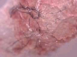 MAK7PIA's tweet photo. @ShowMeTheSky1 #Chemtrails #Quimicos #Fumigación
#Exterminio
#Veneno☠️
#Morgellons
#Geoingienería
#CambioClimatico
#NOM #NWO
#5G
#6G #HAARP
#Adrenochrome
#WakeUp
#Twitter
#Research
#conspiracy
#FlatEarth
#Illuminati
#SatanicSystem
#SatanicElite
#Despierta https://t.co/tCj7RoF0CJ