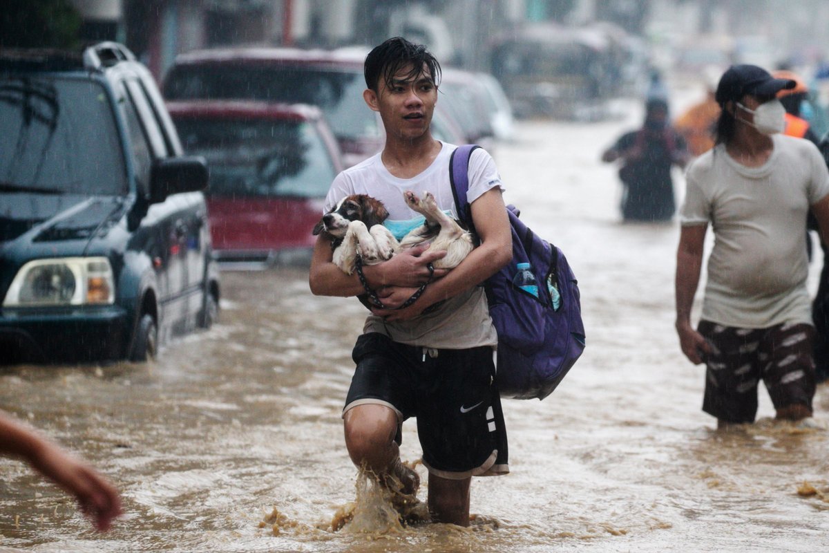 ajplus's tweet photo. Typhoon Vamco killed at least 7 people in the Philippines and caused major flooding in Manila.

Streets turned into rivers.

It is the 8th typhoon in 2 months, submerging thousands of homes. Many sought safety on rooftops waiting for rescue boats: "Nothing is left." https://t.co/YYsq3Xx4co