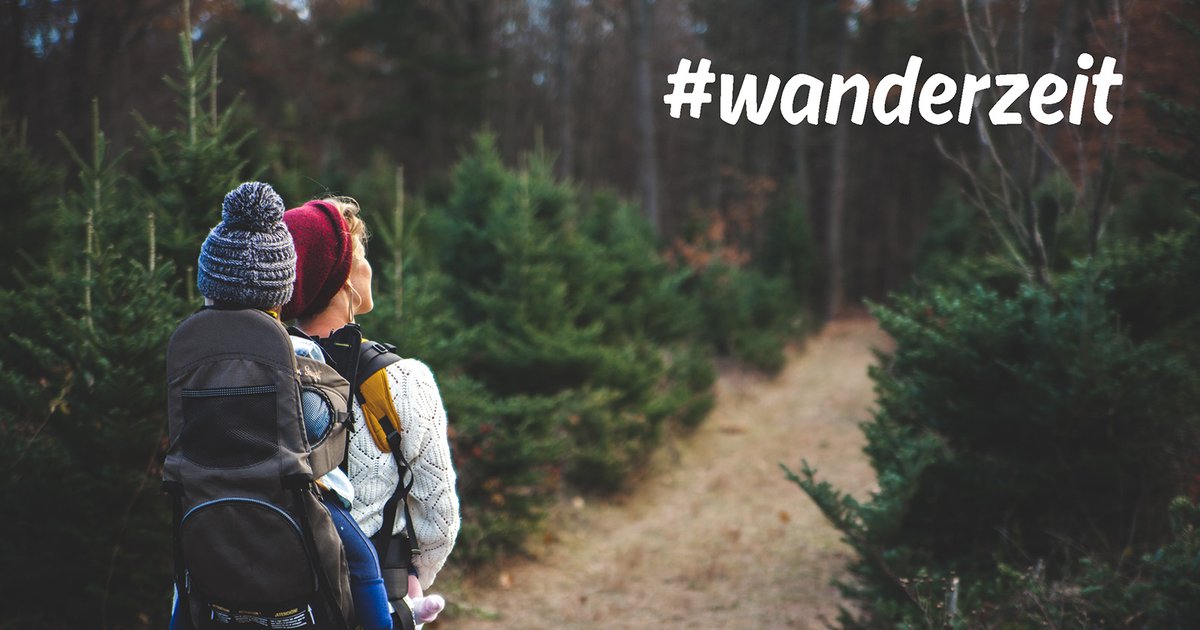 SchuhOkay's tweet photo. #wanderzeit #wanderlust #wanderschuhe - https://t.co/kycdUNBd55 https://t.co/daDVxrNEpl