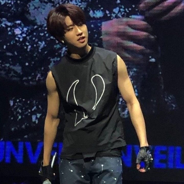 special thread for feeding ur soft heart — han jisung edition 