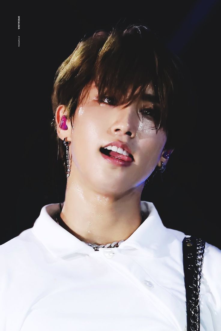 special thread for feeding ur soft heart — han jisung edition 