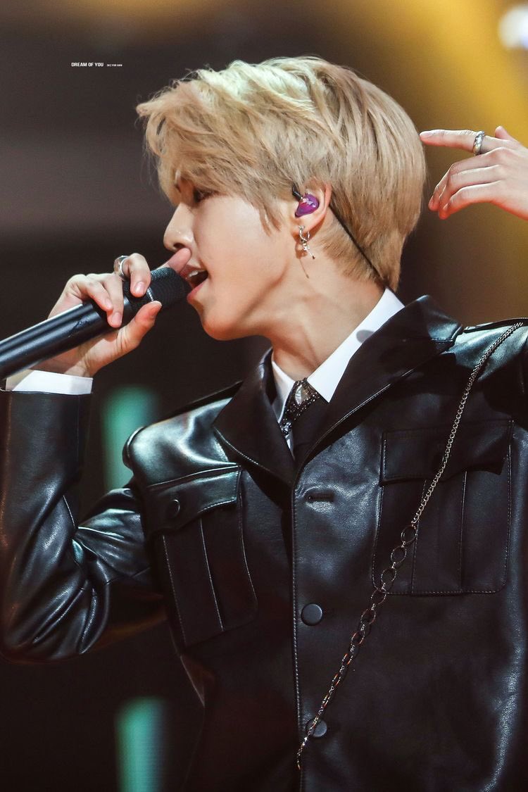 special thread for feeding ur soft heart — han jisung edition 