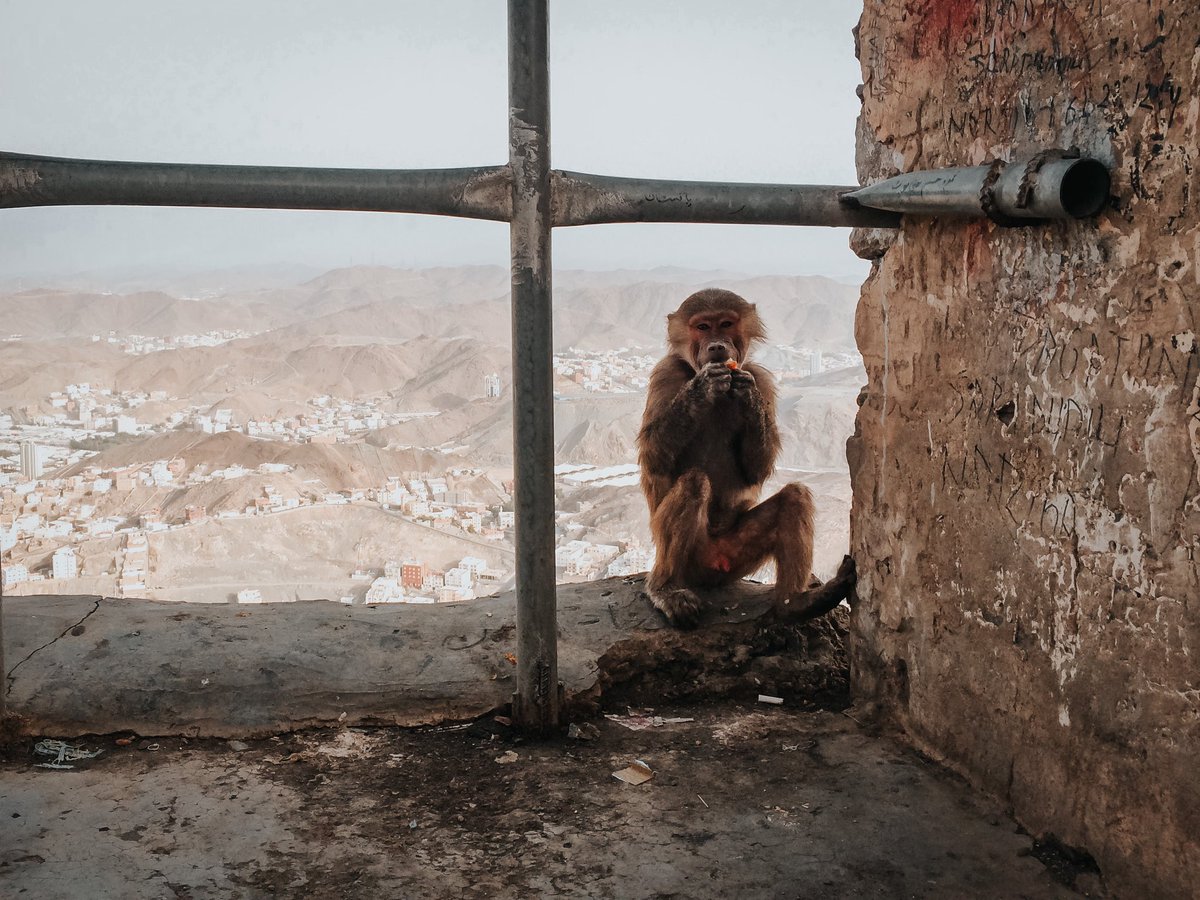 Part 10.Cukuplah takat ni. Semoga dengan teknologi smartphone terkini dapat hasilkan gambar yang lebih baik.Banyakkan berlatih shoot dan perbaiki framing. insyaAllah gambar kita dapat beri impak lebih baik.Tools tu sepatutnya jadi nombor dua .