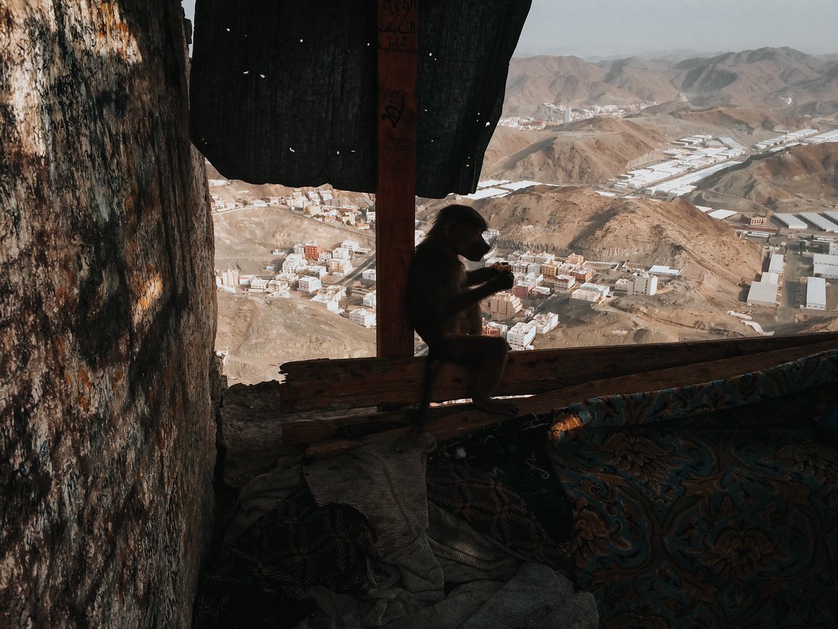 Part 10.Cukuplah takat ni. Semoga dengan teknologi smartphone terkini dapat hasilkan gambar yang lebih baik.Banyakkan berlatih shoot dan perbaiki framing. insyaAllah gambar kita dapat beri impak lebih baik.Tools tu sepatutnya jadi nombor dua .