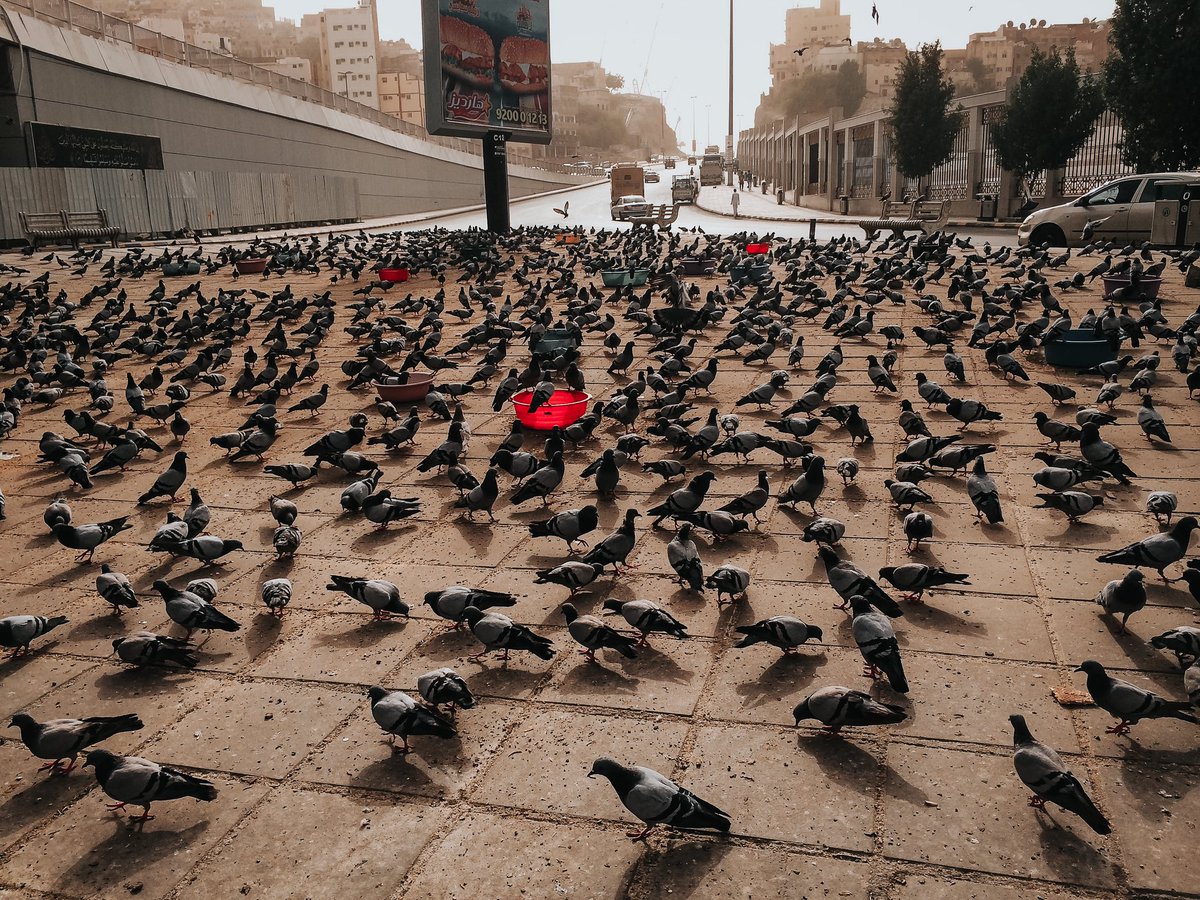 Part 10.Cukuplah takat ni. Semoga dengan teknologi smartphone terkini dapat hasilkan gambar yang lebih baik.Banyakkan berlatih shoot dan perbaiki framing. insyaAllah gambar kita dapat beri impak lebih baik.Tools tu sepatutnya jadi nombor dua .