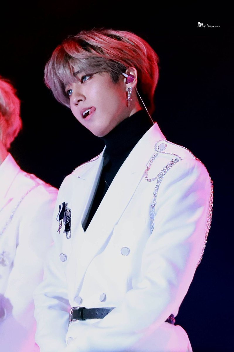 special thread for feeding ur soft heart — han jisung edition 