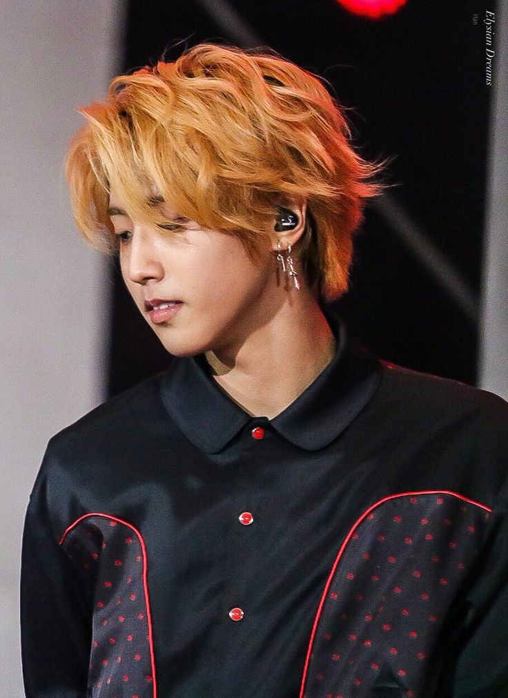 special thread for feeding ur soft heart — han jisung edition 