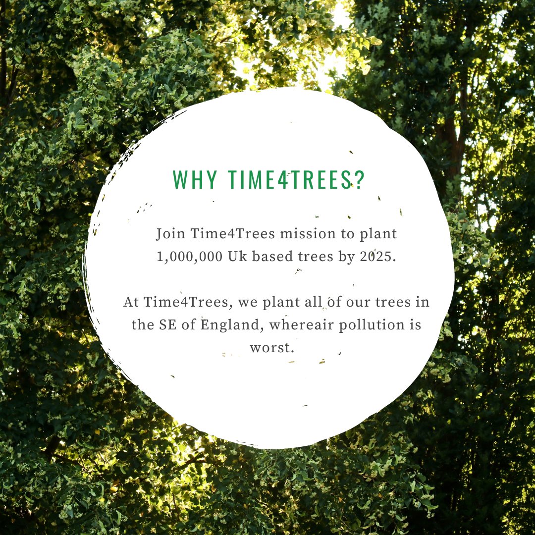 Time4Trees_'s tweet photo. Time4Trees differs from many other tree planting companies due to the fact that we plant UK based trees that are based in the SE of England, where pollution levels are at their worst.  🌳 https://t.co/PW1fltDuVm