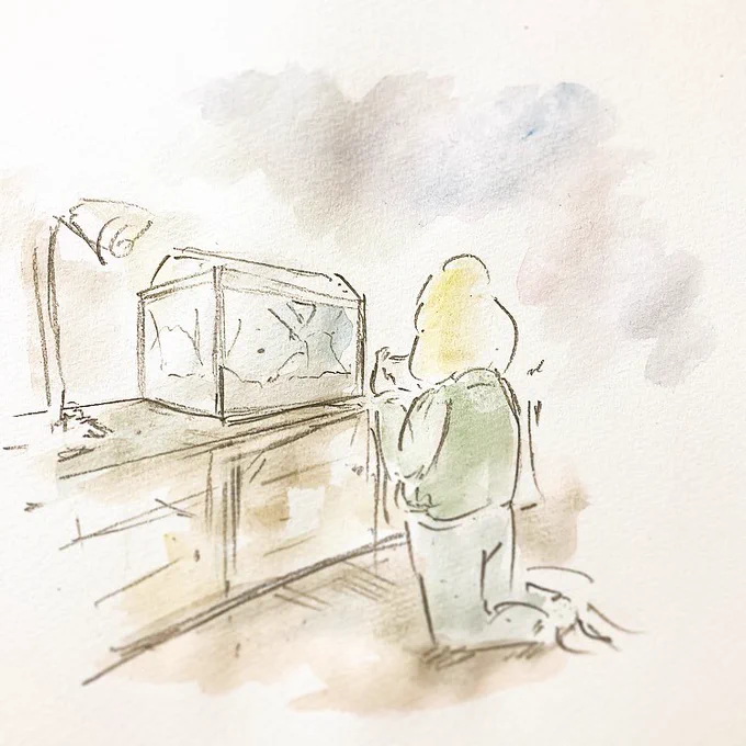 次のエビ動画撮影。 https://t.co/lpYf0kpya3 