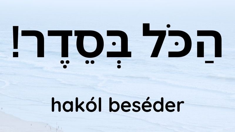 hebrew_ben's tweet photo. See this Instagram photo by @hebrew_coach https://t.co/scslwfKCdH https://t.co/lKsug9WdGc