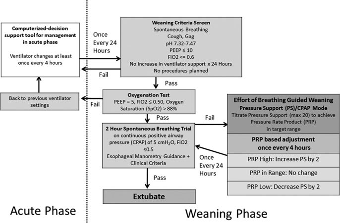 jesus_pulido's tweet image. Algoritmo para extubación en niños con #SDRAP #ARDS

Hotz et al. @RobyKhemaniMD : ow.ly/bcRX50ChJrS

Editorial @drjonpelly; @cmhorvat: ow.ly/DE4J50ChJrV

#PedsICU #FOAM @SCCM @WFPICCS