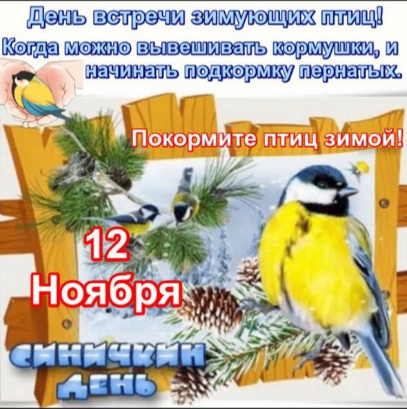 12 ноября Синичкин день 12 ноября Синичкин день