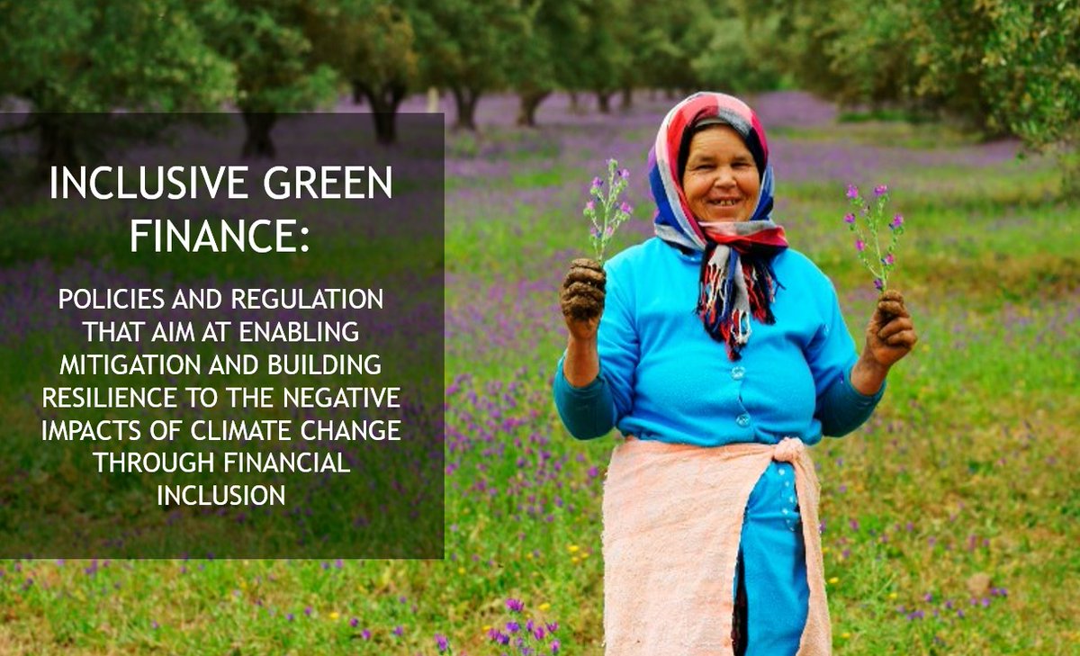 NewsAFI's tweet photo. Inclusive #greenfinance policies enable mitigation & build resilience to #climatechange via #financialinclusion - AFI #IGF Head @johannanyman opens @uni_lu_FDEF Inclusive & Sustainable Finance Research Conference.
#GlobalGoals #SDG13 @iki_bmu @bmu @minfinlux @MFA_Lu #afiEurope https://t.co/DbYnLIBui4