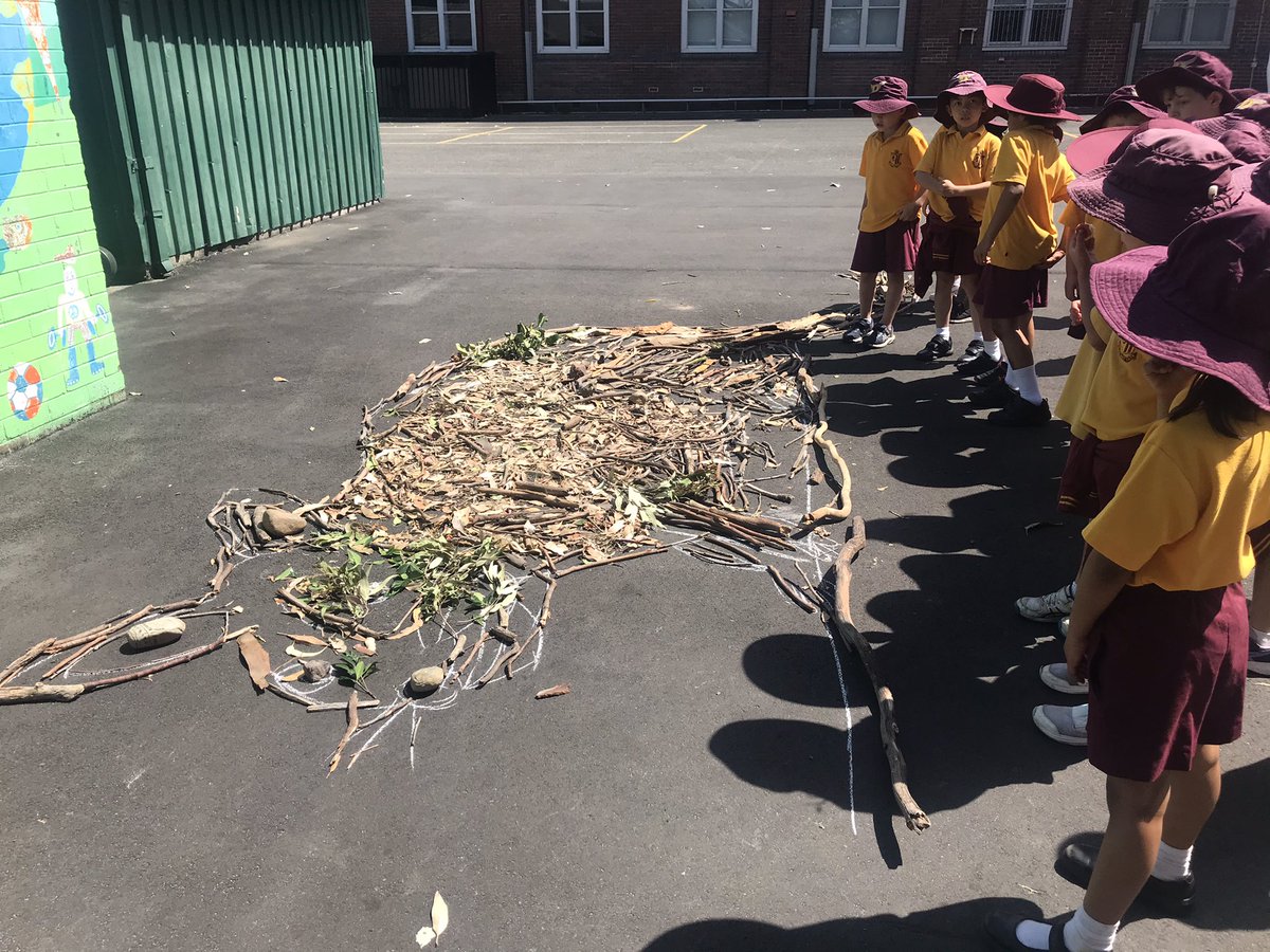Beautiful artworks of native Australian animals created today as part of our #NAIDOC2020 celebrations.