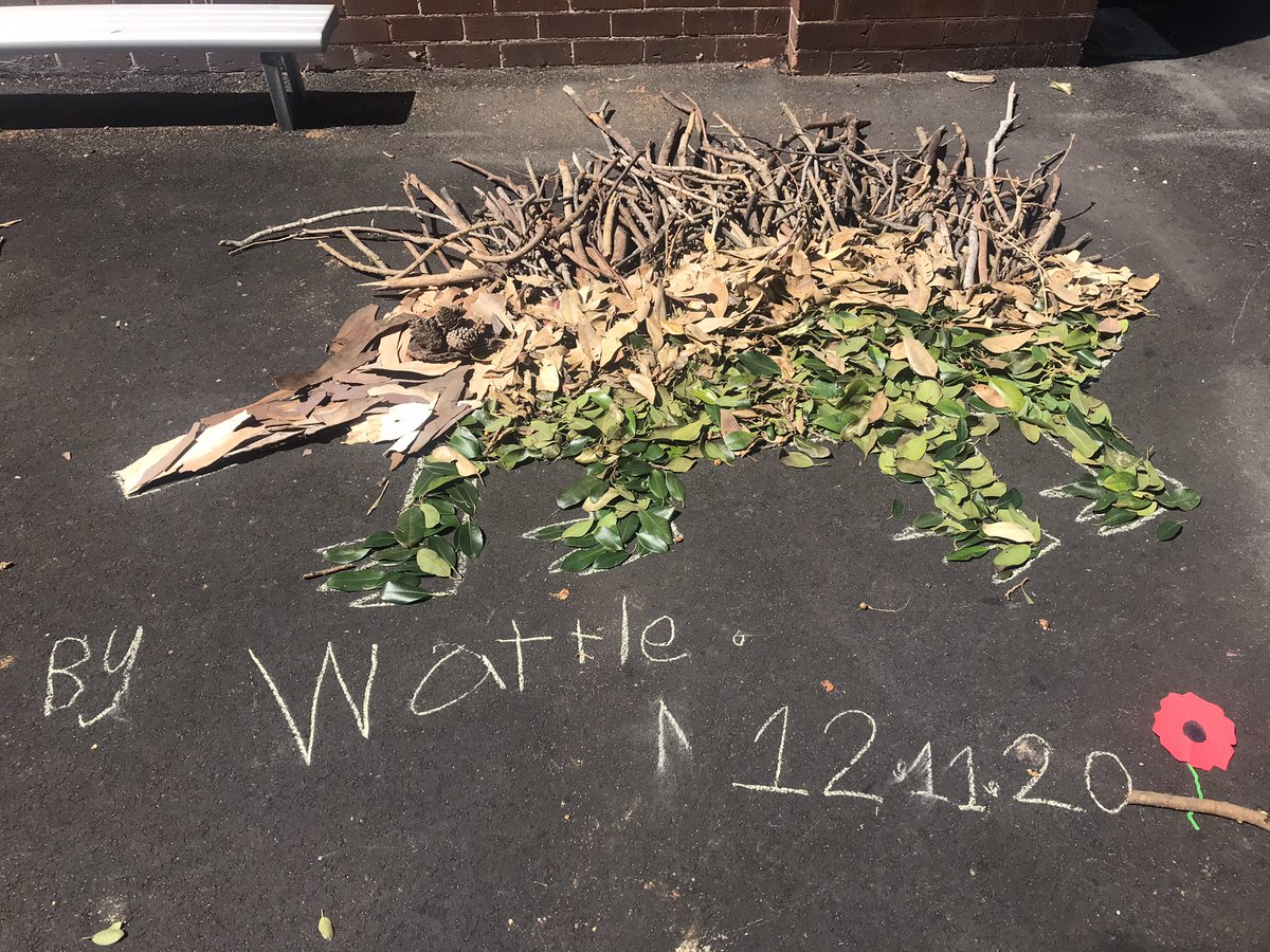 daceyville's tweet photo. Beautiful artworks of native Australian animals created today as part of our #NAIDOC2020 celebrations. https://t.co/vl8p3AvMQH