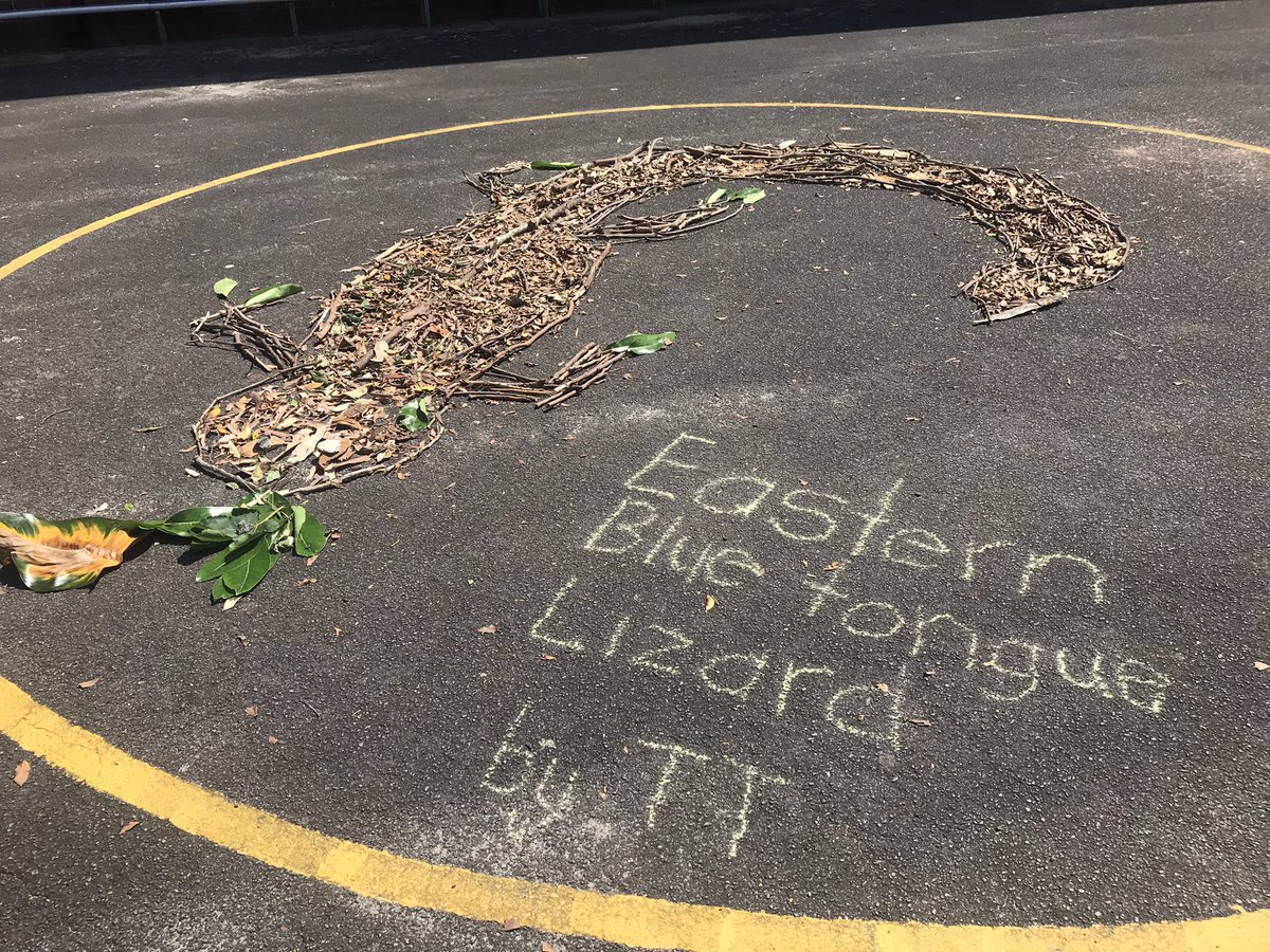 daceyville's tweet photo. Beautiful artworks of native Australian animals created today as part of our #NAIDOC2020 celebrations. https://t.co/vl8p3AvMQH