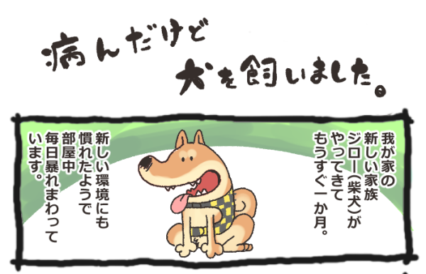 病んだけど犬を飼いました  https://t.co/GKMwW7J7Bm 