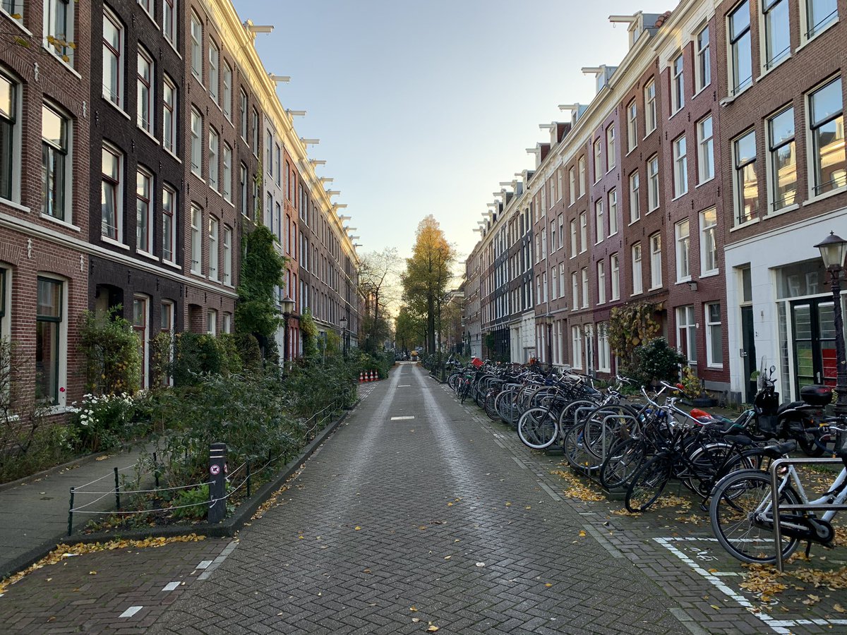 zeeger's tweet photo. Daniël Stalperstraat before and after. Next step: more trees. #greeningthecity #carfree https://t.co/1SSWYxw0kQ