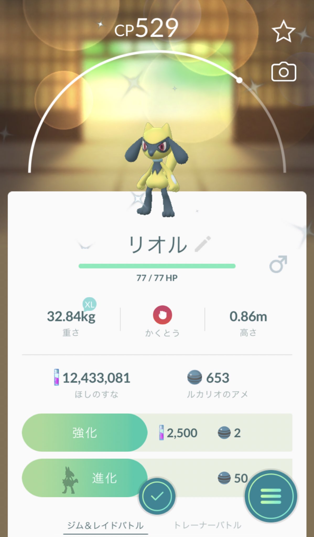 ケン ポケモンgo リオルの色違いやっと出ました これまでの7タマゴ孵化52個 内訳 タマンタ 10匹 カラカラ 23匹 色違い1匹 ピチュー 7匹 色違い1匹 リオル 12匹 色違い1匹 リオル率 悪くはないカンジでした 皆さんはどうでした ケン ポケモンgo リオルの色違いやっと出ました これまでの7タマゴ孵化52個 内訳 タマンタ 10匹 カラカラ 23匹 色違い1匹 ピチュー 7匹 色違い1匹 リオル 12匹 色違い1匹 リオル率 悪くはないカンジでした 皆さんはどうでした