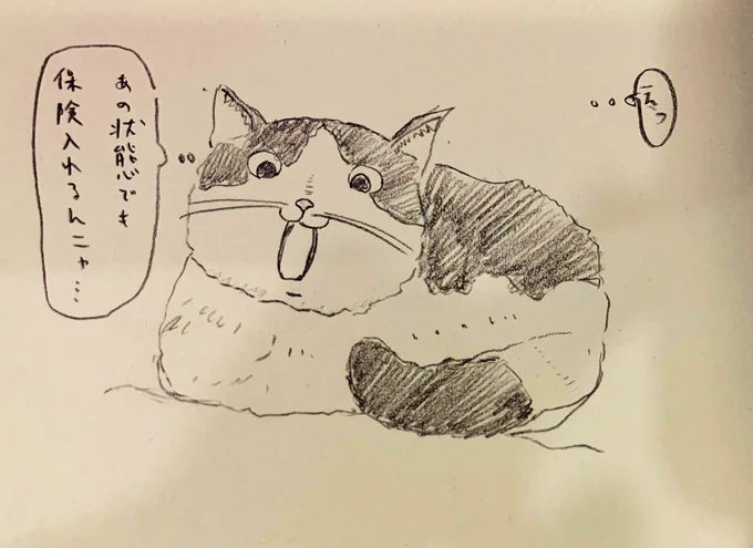 僕も入ろうかニャ… 