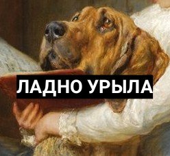 Тот ещё удалец tweet media
