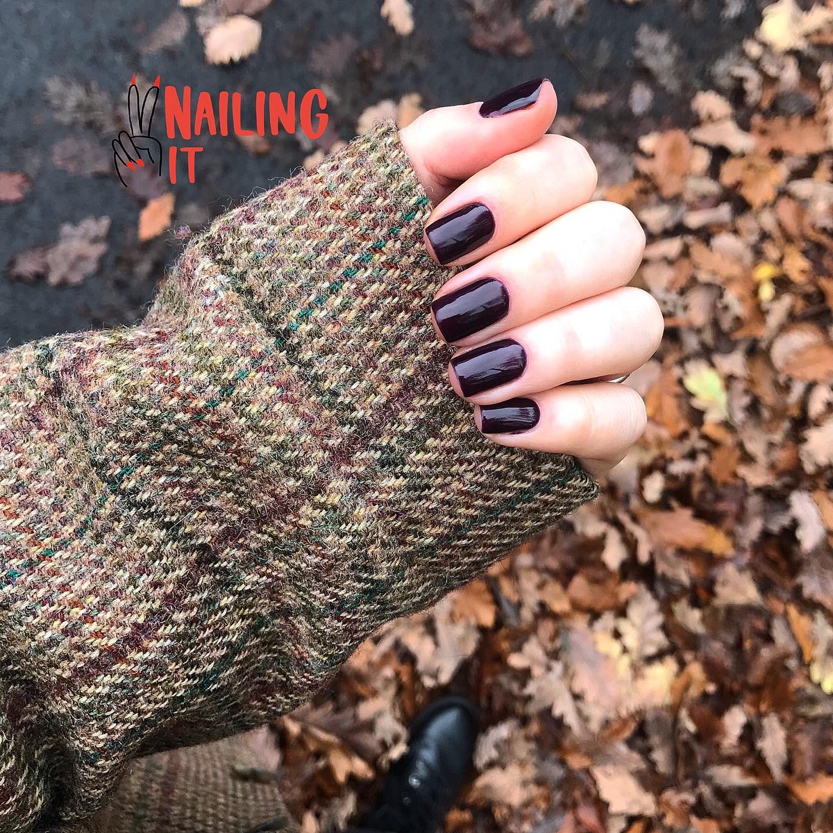 nailingit2019's tweet photo. https://t.co/rTwZ7AX60o