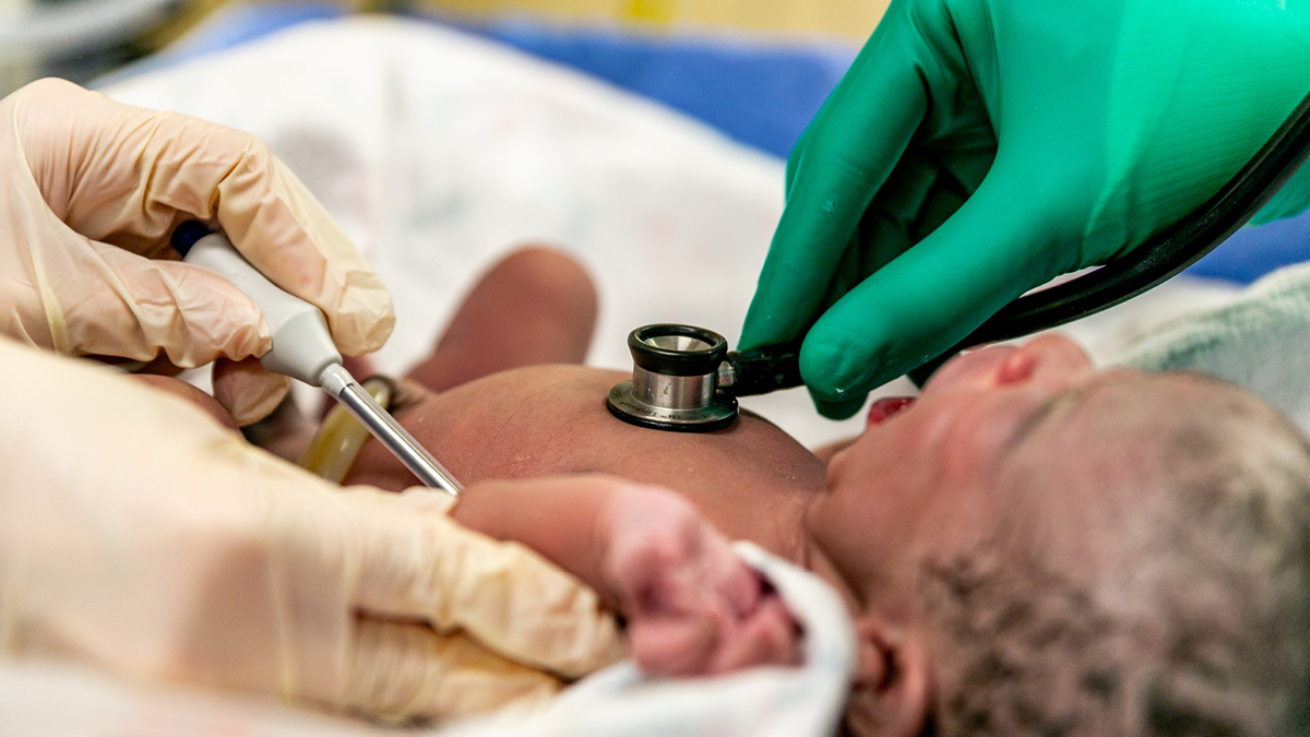 NeoventaMedical's tweet photo. Development of clinical guidelines based on fetal physiology for CTG and ST Analysis - read the full article here: https://t.co/NFF1xE4u9k
#fetalphysiology #STanalysis #CTGinterpretation #fetalmonitoring #forhealthierbabies https://t.co/CYUz82I4Jp